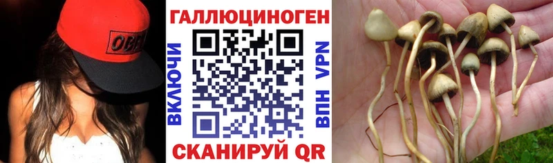 Псилоцибиновые грибы GOLDEN TEACHER  Трубчевск 